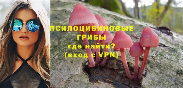 крисы Абинск