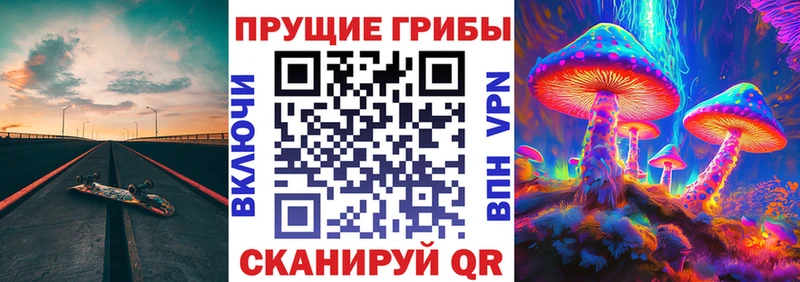 Псилоцибиновые грибы Magic Shrooms  Гдов 