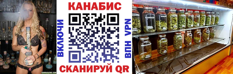 наркота  Гдов  Каннабис VHQ 